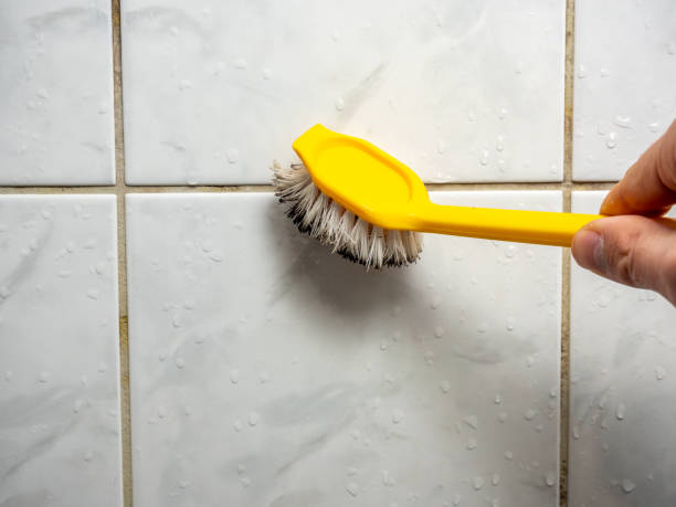 Best Water Damage Restoration  in Chain Lake, WA