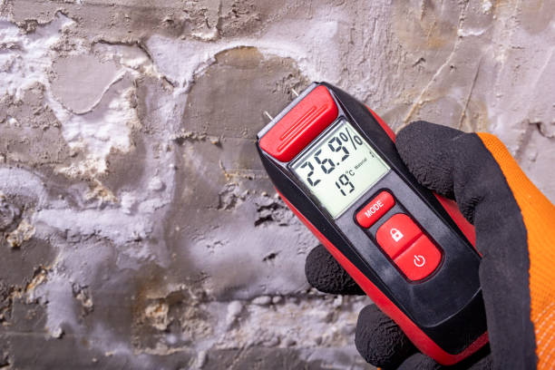 Best Emergency Mold Removal  in Chain Lake, WA