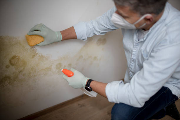 Best Water Damage Restoration  in Chain Lake, WA