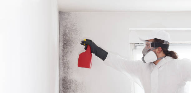 Best Mold Testing  in Chain Lake, WA