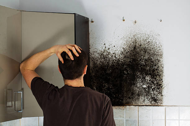 Best Certified Mold Removal  in Chain Lake, WA